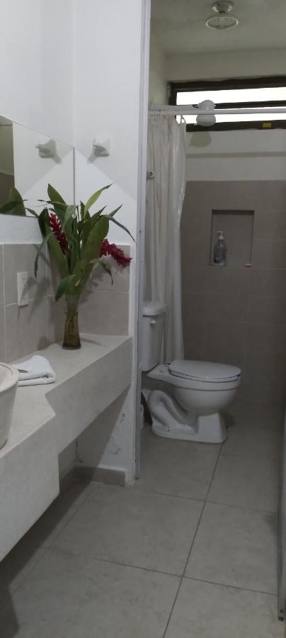 Departamentos De La Reina Roja Apartment Palenque Ngoại thất bức ảnh