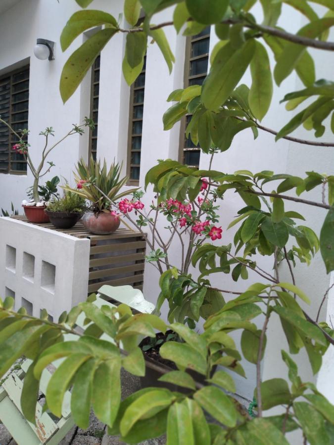 Departamentos De La Reina Roja Apartment Palenque Ngoại thất bức ảnh