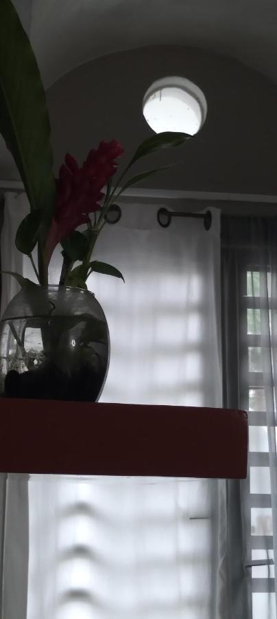 Departamentos De La Reina Roja Apartment Palenque Ngoại thất bức ảnh