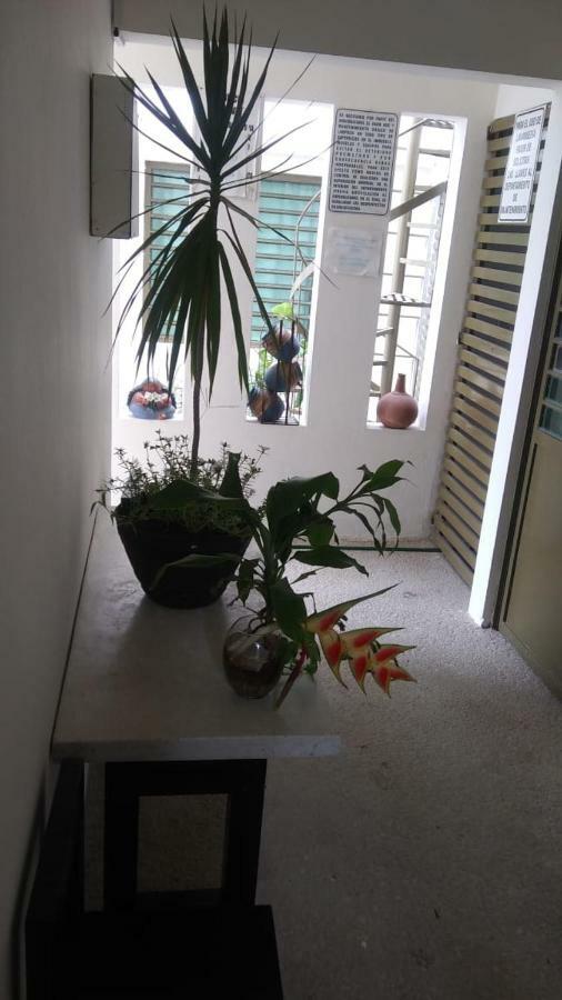 Departamentos De La Reina Roja Apartment Palenque Ngoại thất bức ảnh